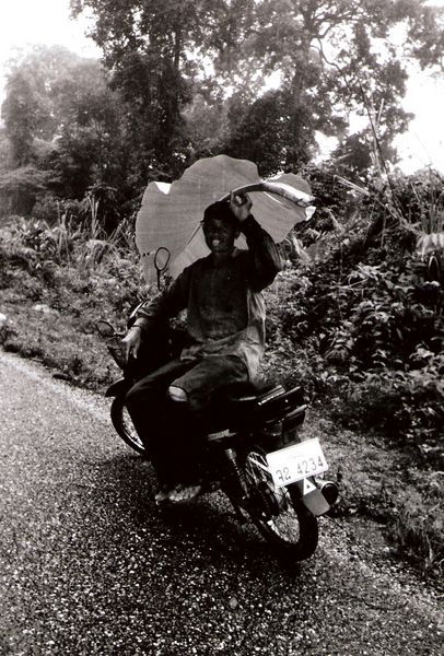 umbrella, laos style