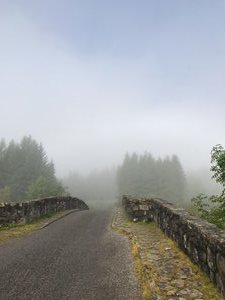 Misty Start Over The Bridge