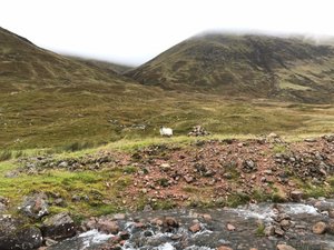Day 8- Kinlochleven to Fort William