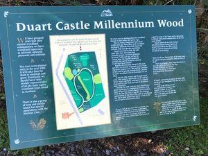Duart Castle Millennium Wood Walk