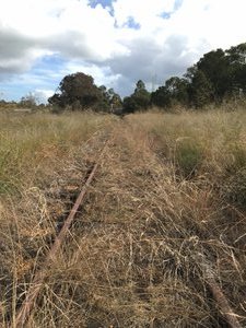 Grassy Trail Along the Railway Tracks