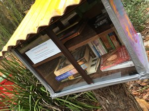 Little Book Library at Greenbushes Pool