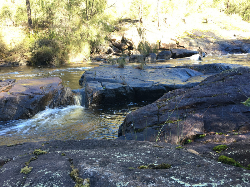 Lunch Spot