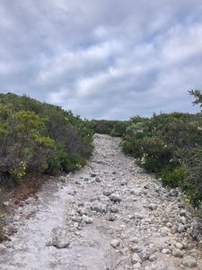 Limestone Track