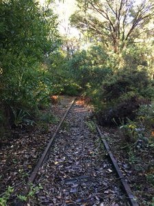Walking on Disused Railway Tracks