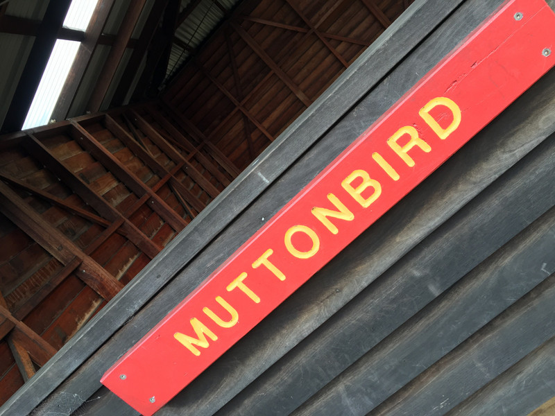 Muttonbird