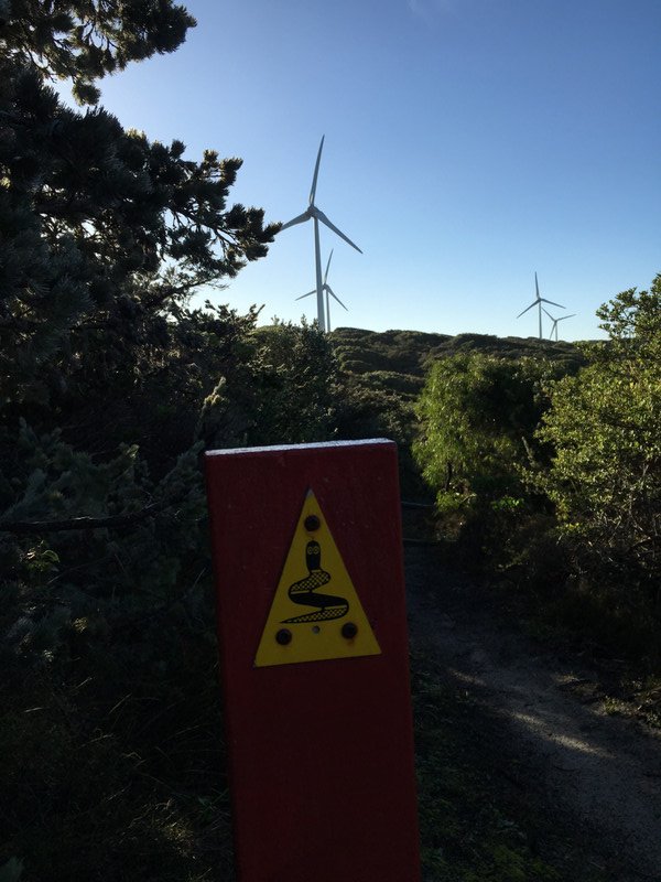 Grasmere Wind farm