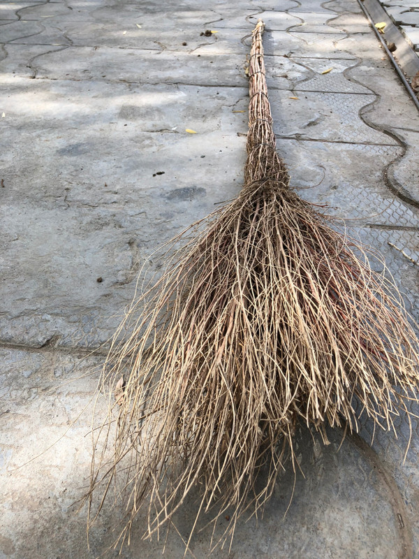 Tried And Tested Broom