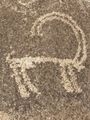 Petroglyphs Behind Langar Village