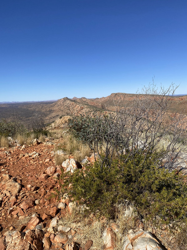 1088m with views of entire West MacDonnell Ranges, Alice Valley and Chewing Ranges as well as Mt Giles, Mt Zeil and Mt Sonder.