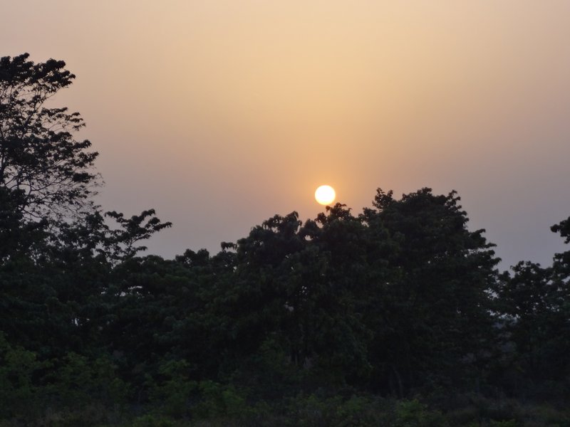 Chitawan Sunset