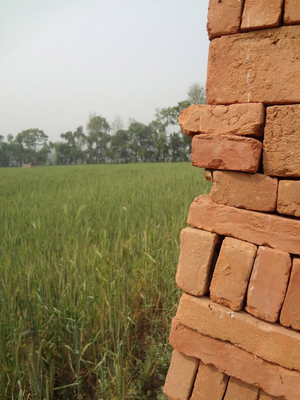 Farmers Fields and Fields of Bricks