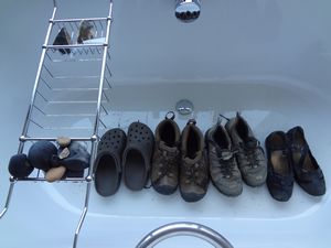 Shoes decontaminated