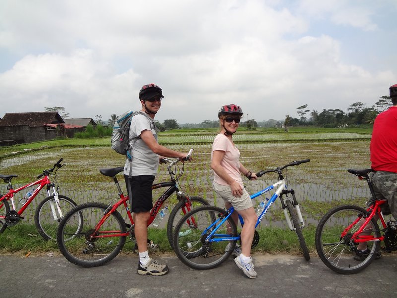 Rice fields ride