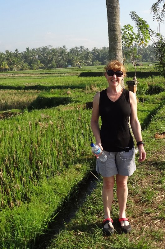 Sunday walk in the rice fields