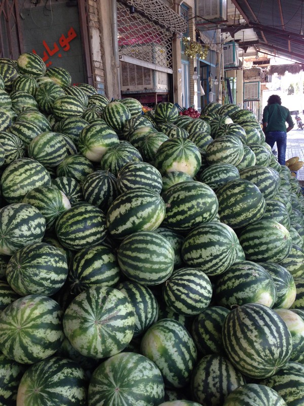 Watermelon Season