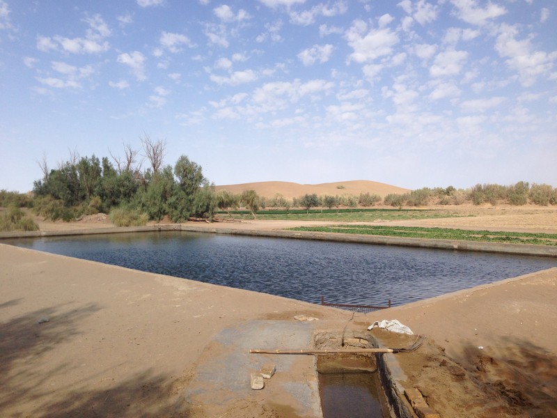 Desert Reservoir