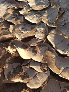 Sheets of dried mud