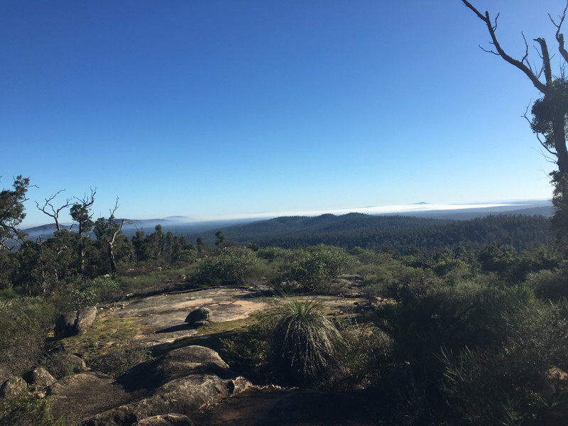 Mt Cooke Summit Views 