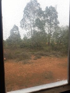 View From Inside The Hut
