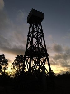 The Tower At Dusk