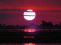 Sun sets over the Chobe