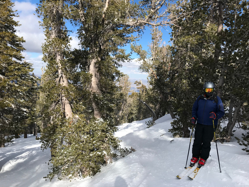 Tree skiing at Aries Woods, Heavenly