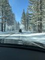 Driving to Kirkwood after snow