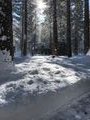 Sabbath morning outside our cabin. Spot the picnic table!