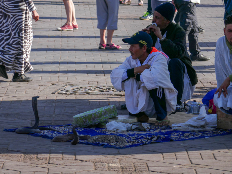 Snake charmer in Jemaa el-Fna