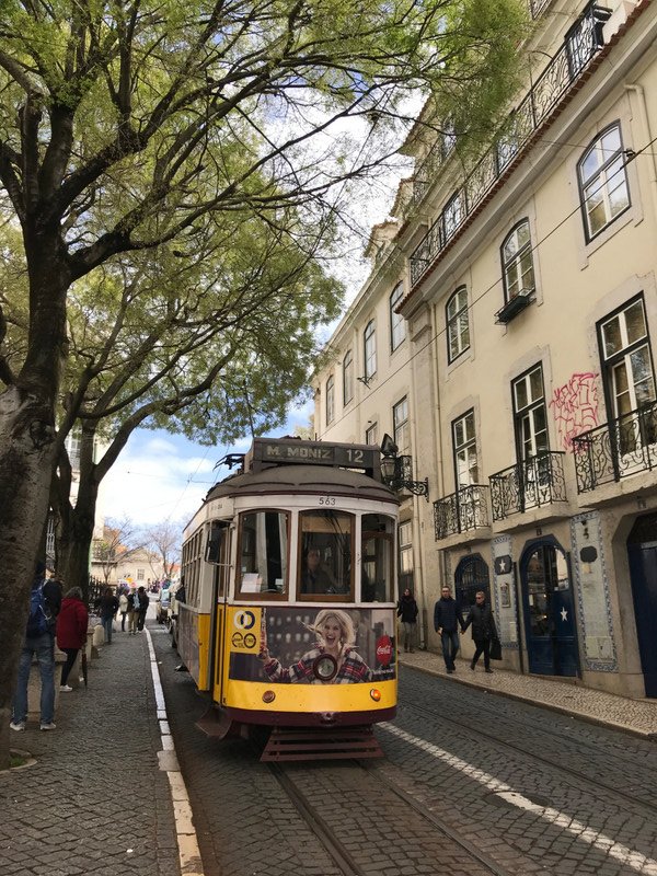 Typical Lisbon tram. 
