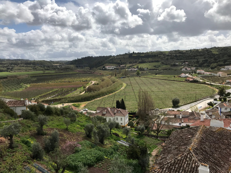 View from Obidos