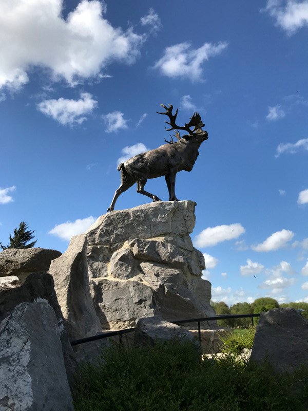 Honouring the Newfoundland Regiment who lost 75% of their men in the first hour of fighting