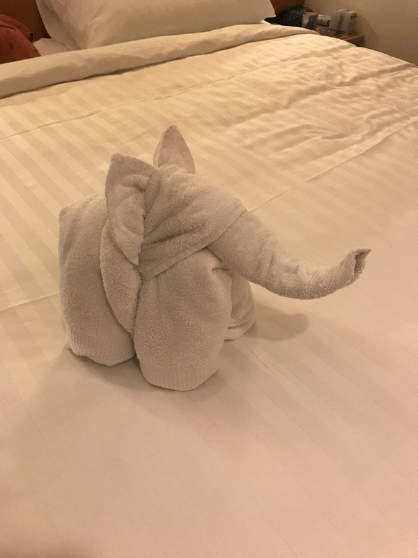 It's a hooded elephant