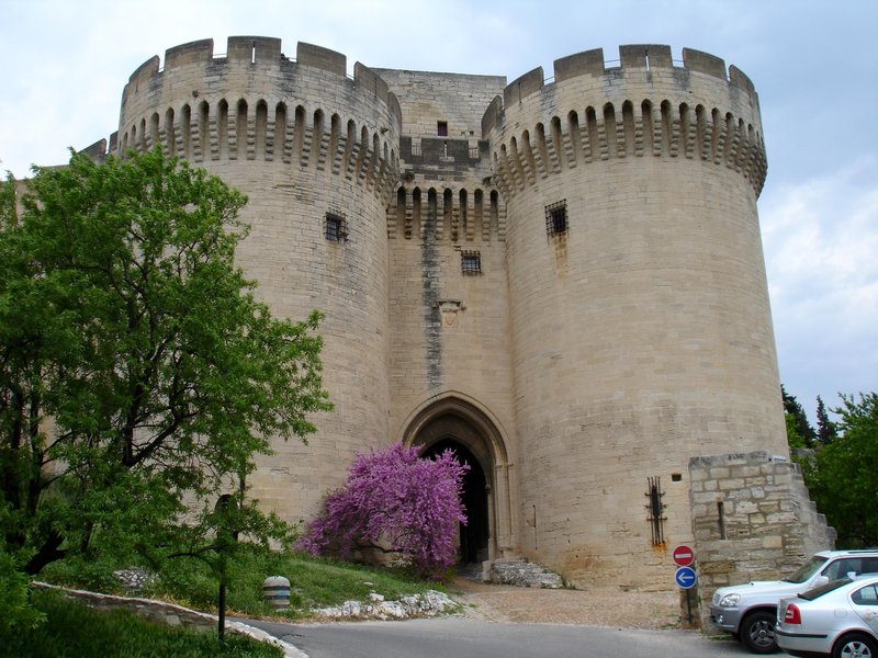 075. Fort St Andre - Avignon