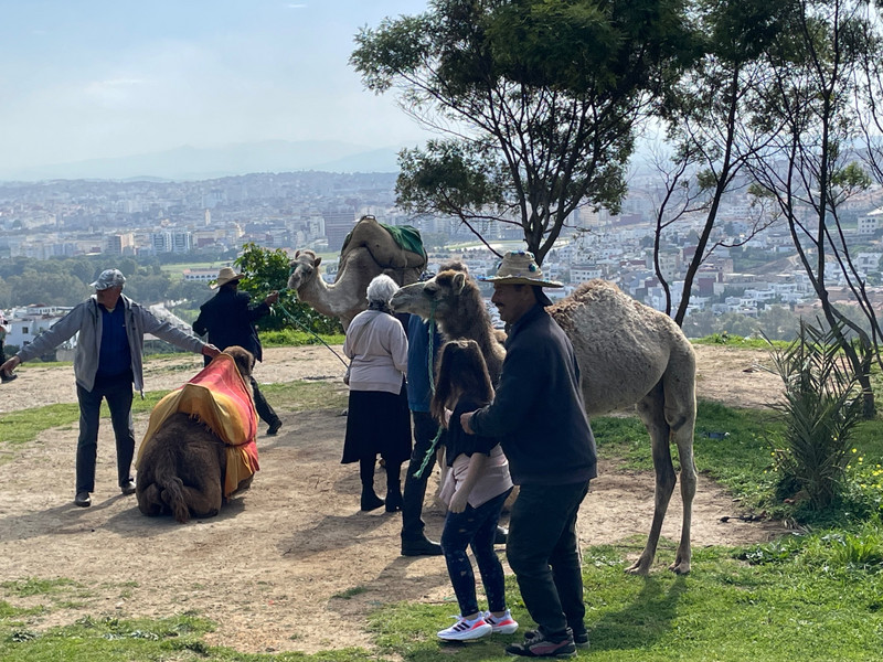 Camel ride in Tangiers