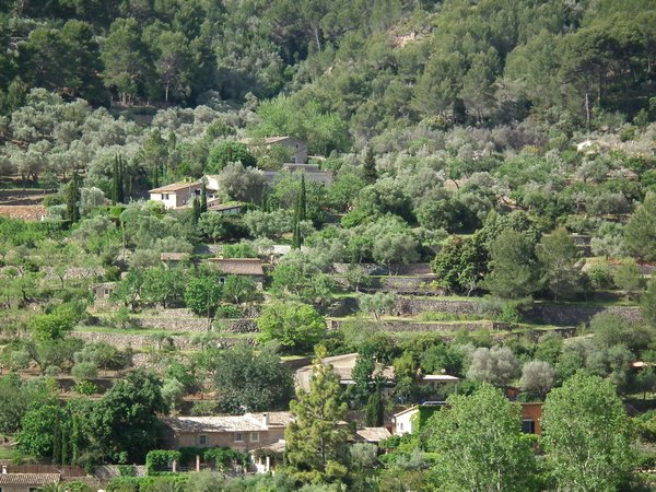 Hiking in to Soller
