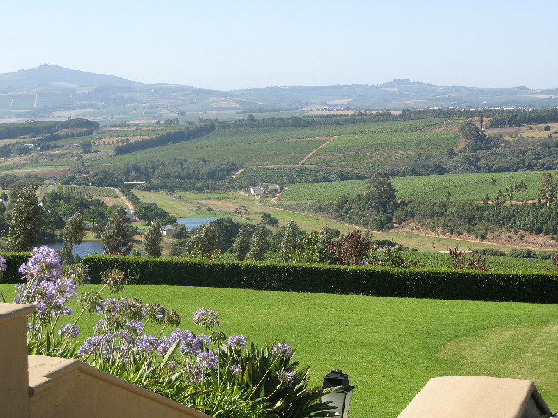 View from Ernie Els winery