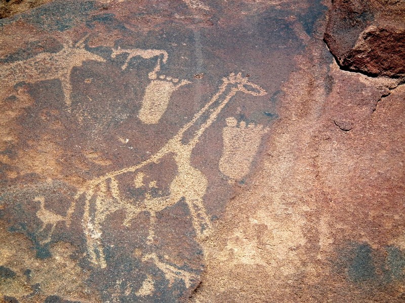 Rock Paintings Twyfelfontein