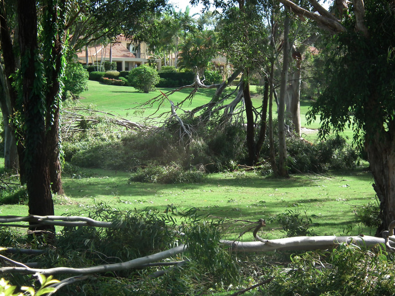 Aftermath of storm resulting from cyclone Debbie