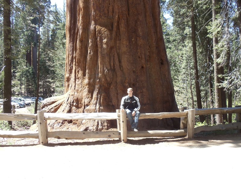Does this tree make me look small?