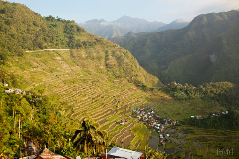 Batad - Rice Field Terraces