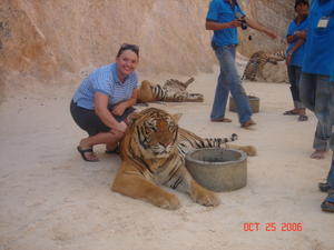 Tiger Temple