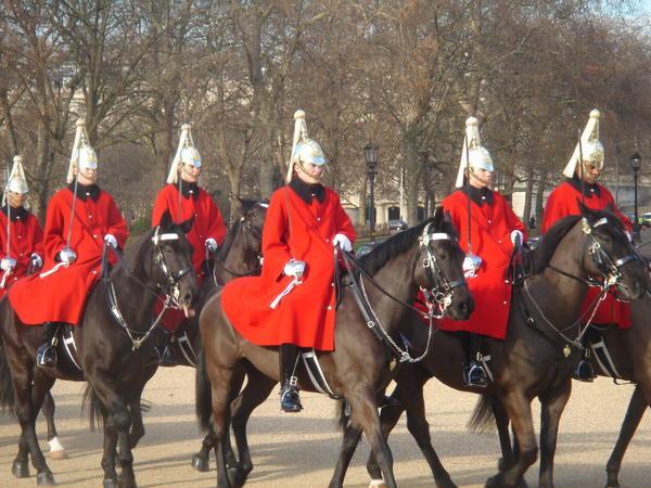 Gaurds at Buckingham Palace
