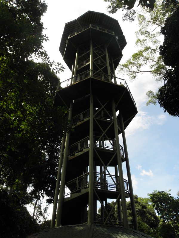 view of the pillar from the canopy walk