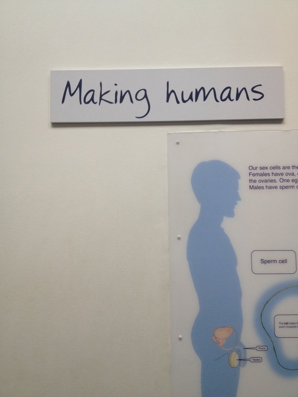 Making Humans