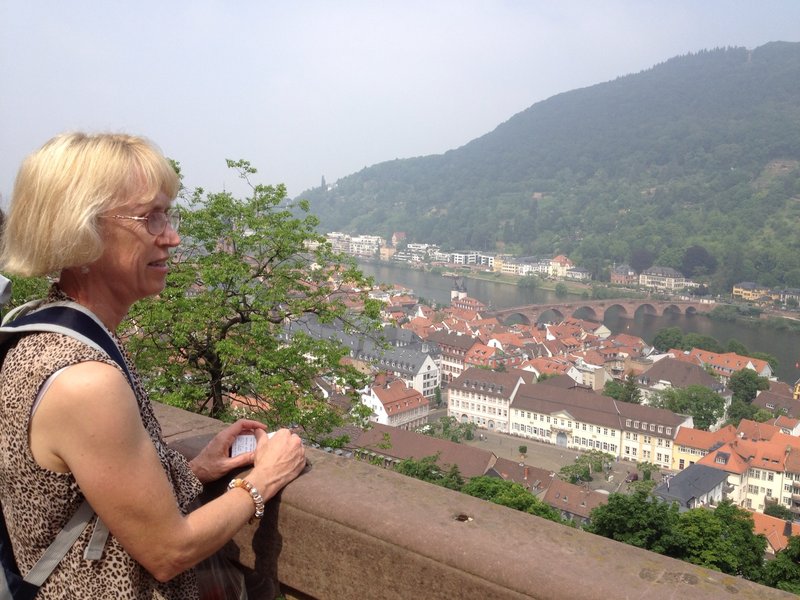 Heidelberg from the Schloss