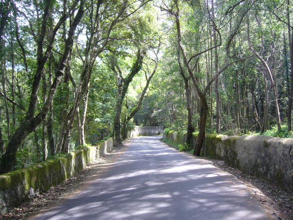 Streets in the picturese town of Sintra