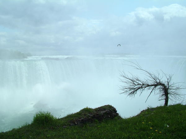 Niagra Canadian falls