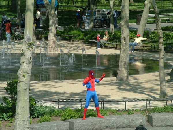 Spiderman in action